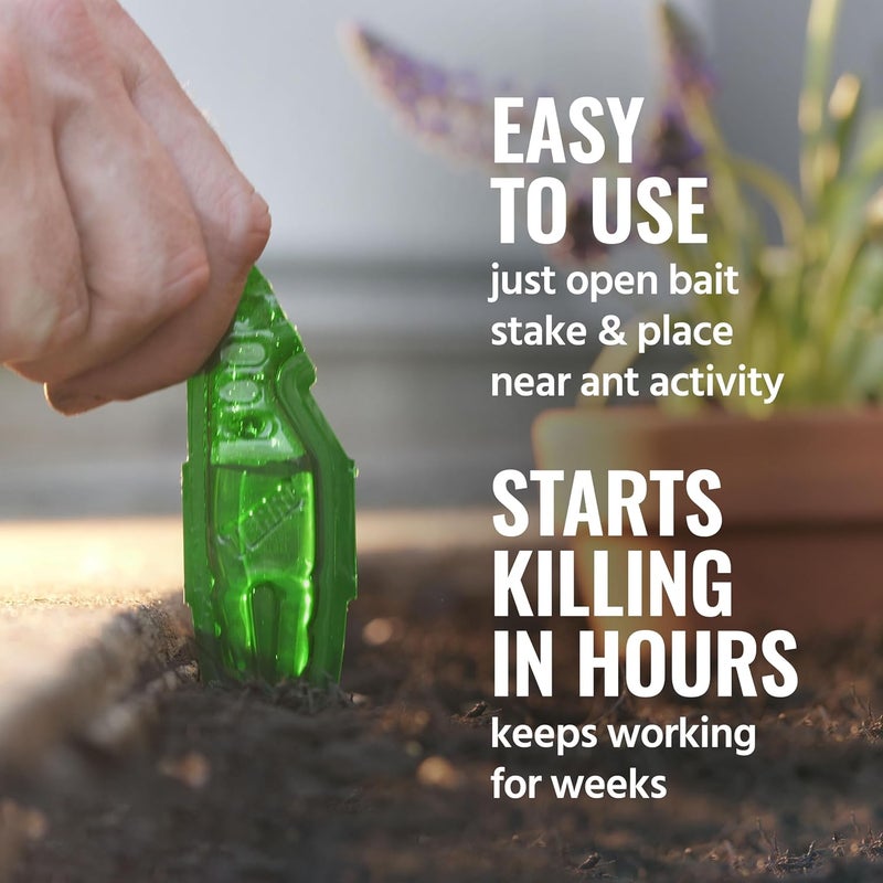 Terro طُعوم سائلة للنمل - T1813B - مصائد نمل جاهزة للاستخدام في الهواء الطلق، تقتل النمل المنزلي، 12 وتد - Image 3